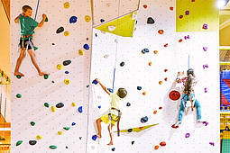Kletterwand Playarena Tux